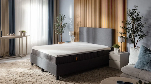 エマ・プレミアムV2