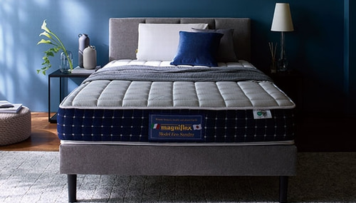 マニフレックスのマットレス