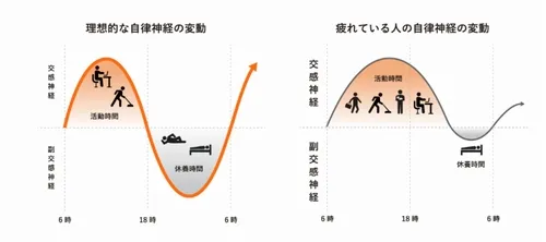 ベネクスのリカバリーウェア